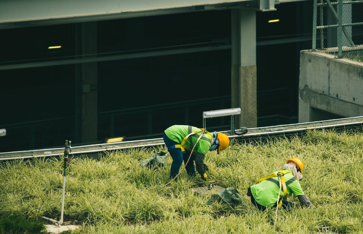 Dois jovens estão trabalhando no meio da grama. Eles usam uniforme verde e capacete laranja